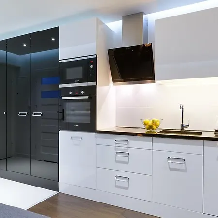 Apartament Wenecjanska I Boznicza Poznań